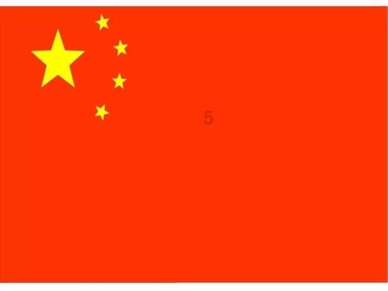 寻找萌小老虎